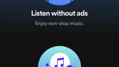 Captura de tela de Spotify Lite 6