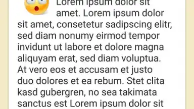 Captura de tela de Handy Journal 9