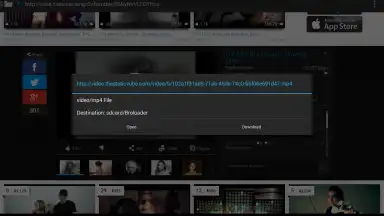 Captura de tela de Broloader Video Downloader 10