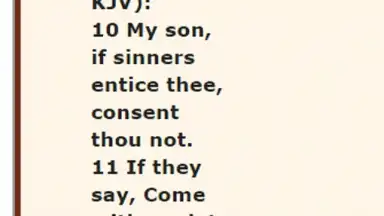 Captura de tela de The Message Bible Free MSG 1