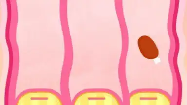Captura de tela de Baby Panda's Body Adventure 1