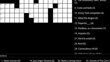 Captura de tela de Crossword Puzzle 5