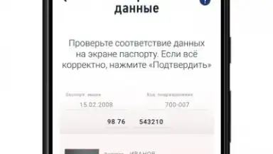 Captura de tela de Мой Налог 3