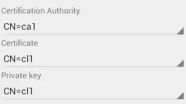 Captura de tela de OpenVPN Client Free 19