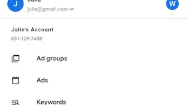 Captura de tela de Google Ads 1