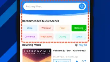 Captura de tela de OKmusi - Any Music MP3 Downloader 5