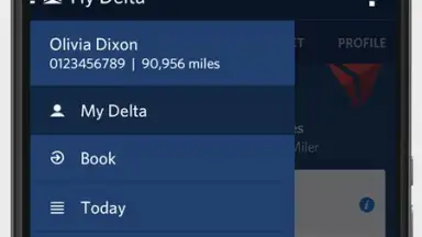 Captura de tela de Fly Delta 8