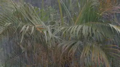 Captura de tela de Relax Rain 5