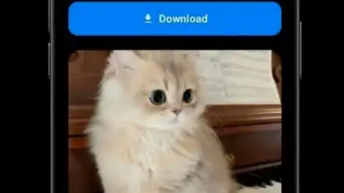 Captura de tela de Media Saver 4