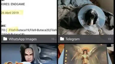 Captura de tela de Vertical Gallery 1