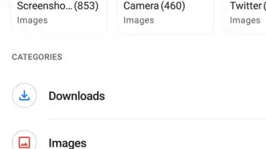 Captura de tela de Files by Google 2