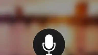 Captura de tela de Microsoft Translator 7