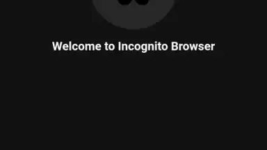 Captura de tela de Private Browser 14