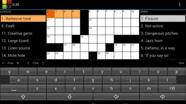 Captura de tela de Crossword Puzzle 13