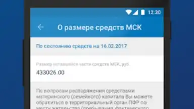 Captura de tela de ПФР Электронные сервисы 1