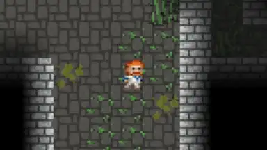 Captura de tela de Sprouted Pixel Dungeon 10
