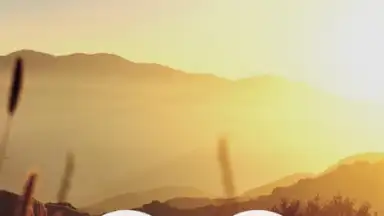 Captura de tela de Meditation Music Metapps 2