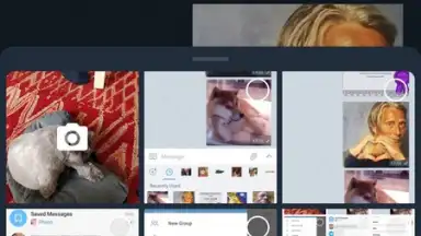 Captura de tela de ForkGram 2