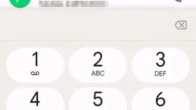 Captura de tela de Phone by Google 8