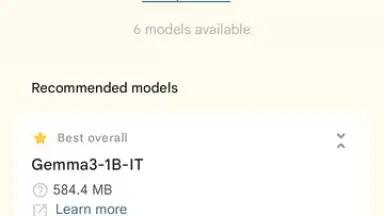 Captura de tela de Google AI Edge Gallery 12