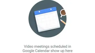 Captura de tela de Google Meet (Original) 7