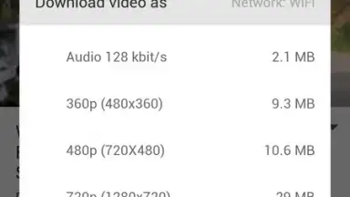 Captura de tela de AyaTube Video Downloader 4