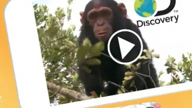 Captura de tela de Budge World 6