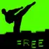 Kung Fu apk
