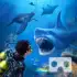 Sharks VR apk