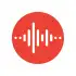 Google Recorder apk