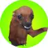 Brasil memes APK