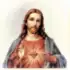 Cristo apk