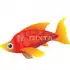 FISHER apk